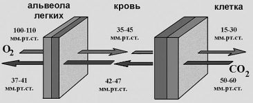 Газ находится в состоянии отмеченном на рисунке точкой определите объем занимаемый газом если 5