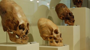 Тайны инков (У.Салливан)