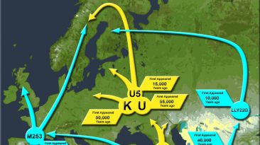 Геногеография - путь в наше прошлое (Н.Максимов)