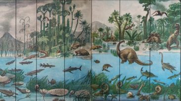 Молекулярный механизм эволюции (Р.Нудельман)