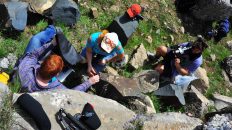 Цели и задачи ЛАИ