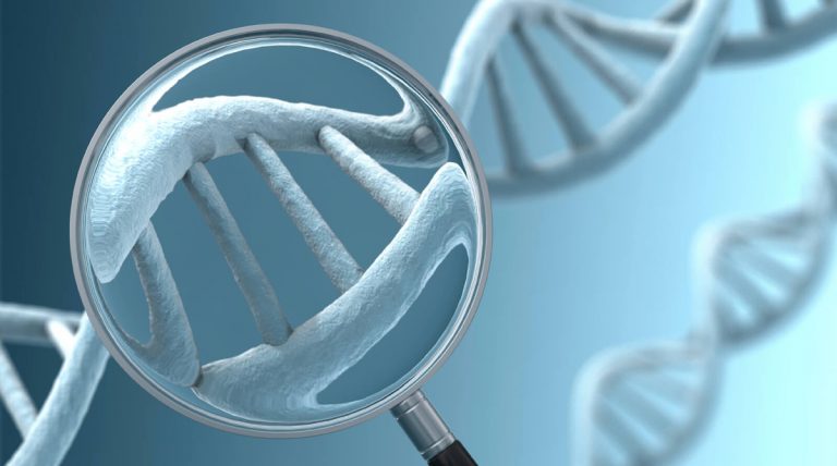 "Прародитель" полутора миллионов русских жил 2,5 тысячи лет назад. Кто он был? (О.Евграфов)