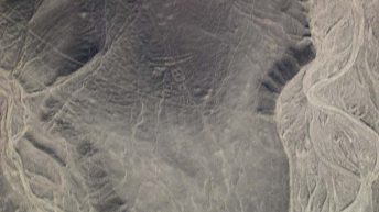 Геоглифы на плато Пальпа (Перу)