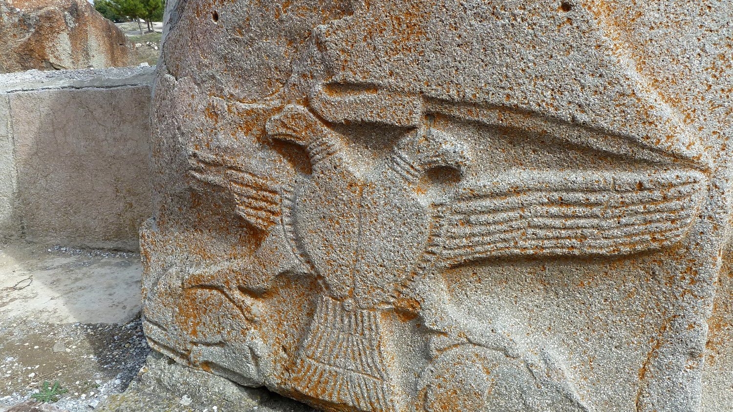 Ешкімен порно секс