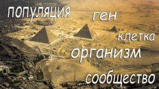 Иерархический анализ пирамид Египта