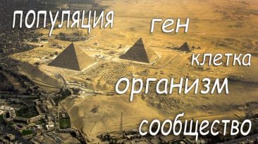 Иерархический анализ пирамид Египта
