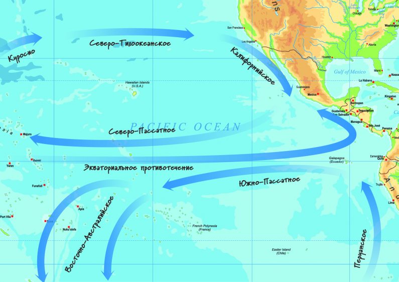Рис. 13 Схема тихоокеанских течений. Автор: E.Manzhosova по источнику NOAA
